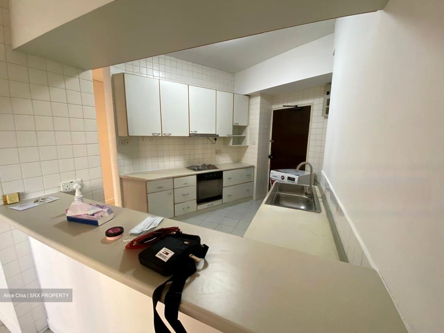 Bayshore Park (D16), Condominium #448340241